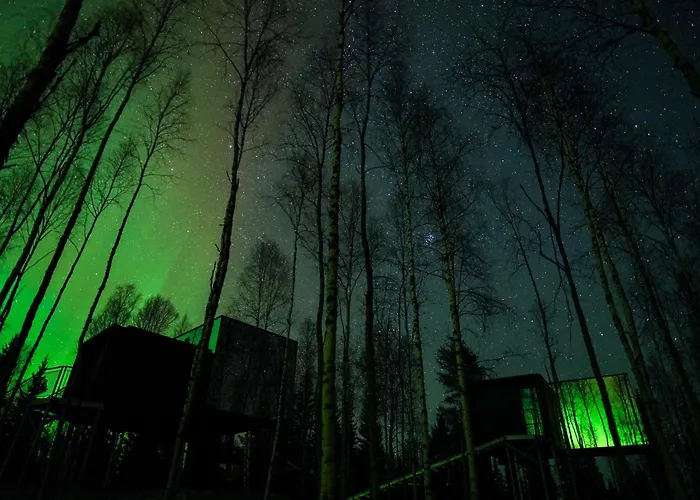 Silver Birch Resort Lapland